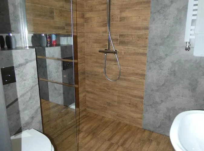 Apartament Bielsko דירה ביילסקו-ביאלה